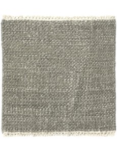 BENJI Sample 1x1